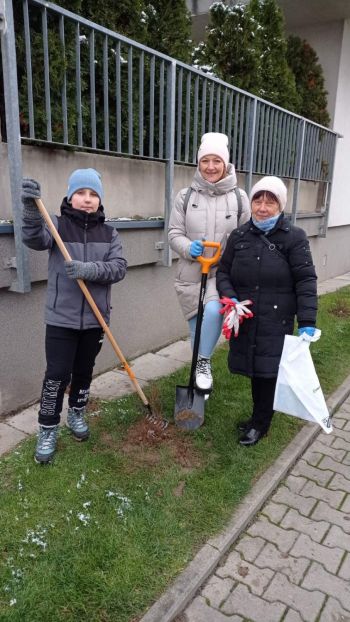 Czyste, Zielone Miasta